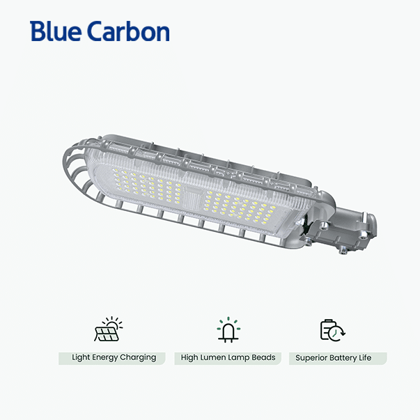 LUMINARIA VIAL B CARBON BCT-OLK1.0 25W 2200lm - Image 2